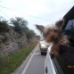 paseando por las sierras de cordoba.