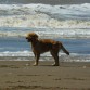 En la playa de vacaciones