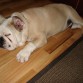 Durmiendo.
