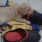 su primer juguete mis zandalias