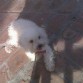 Sacando de paseo a la gorda más bella ♥