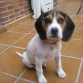 Kira con tres meses =D