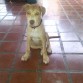 Cesar con 3 meses