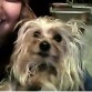 Frankie(: