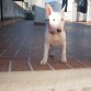con 2 mesezitos