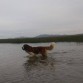 Homero en el Lago Titicaca, 3 años