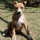 Con 4 meses recién cumplidos