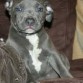 KEISY