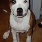 con 4 meses :)