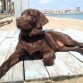 En la playa de Melilla en el mes de Abril.