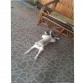 4 Meses.. Relajada totalmente