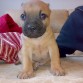 mi nena