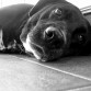 la gordita de mi vida...