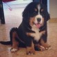 Leo 2 meses, su primer día en casa.