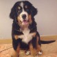 Leo con casí 3 meses.