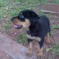 fotografia cuando tenia 2 meses