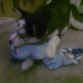 aquí esta maya jugando con su peluche azul que tanto le gusta, no lo suelta ni para salir al patio 