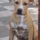 Mia 4 meses