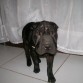 posando para la camara!! ja