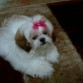 Linda tenia  6 meses.