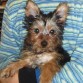 Nina cuando era mas pequeña!!