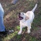 Angy feliz en el campo 