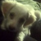 2 meses y 2 dias. n_n
