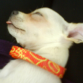 y asi le gusta dormir.. 