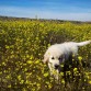 2 meses y medio, corriendo por el parque