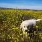 2 meses y medio, corriendo por el parque