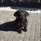 Que mimosho me lo como... jajjaa