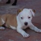 roky d pequeño