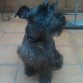 mi taxi