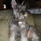 Mi bb Terry!!!!!