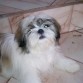 mi propia Ewok, ja ja!!!
