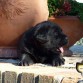 www.labradoresdedaracan.com

bonito del norte de rincon  del valle at daracan