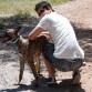 tyson con mi novio, en el campo =)