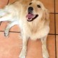 Foto de mi nena el primer dia que nos encontramos en la calle *u*