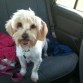 de camino a la playa =)