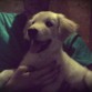 4 meses y medio 