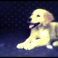 3 meses y medio 