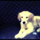 3 meses y medio 