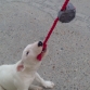 Mi niña jugando