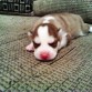 bebe =3