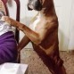 Ziva pidiendo algo...