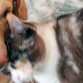 Zoe con nuestra gata Misha