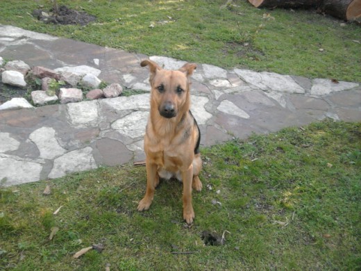 Hermosa ella jugando en el patio!!