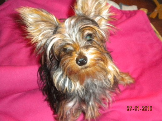CON ESTA CARITA ME COMPRO A TODOS!!!