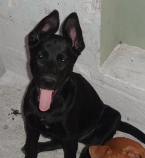 Mi negrita linda