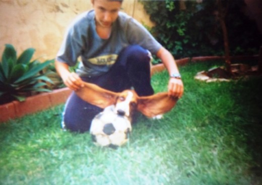 En su primer año en casa. Jugando con la pelota y demostrando sus largas orejas.